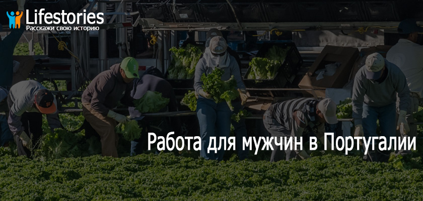 Работа для мужчин в Португалии