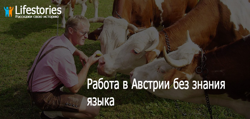 Работа в Австрии без знания языка
