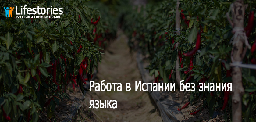 Работа в Испании без знания языка