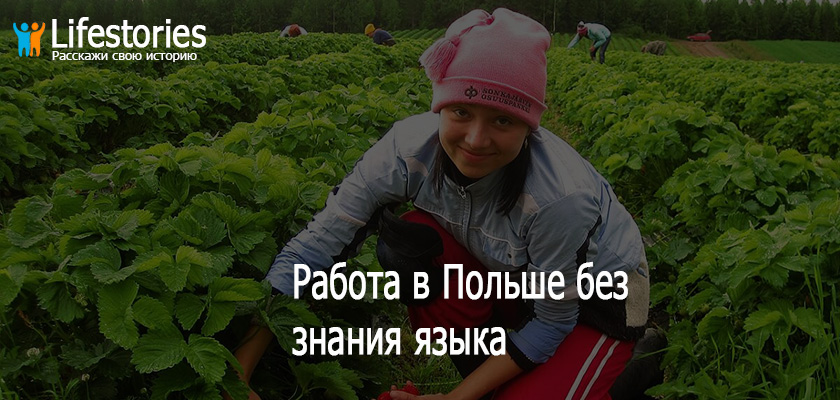 Работа в Польше без знания языка